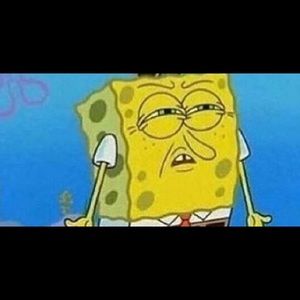 Meet your Posher, Brooklynn